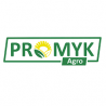 Promyk