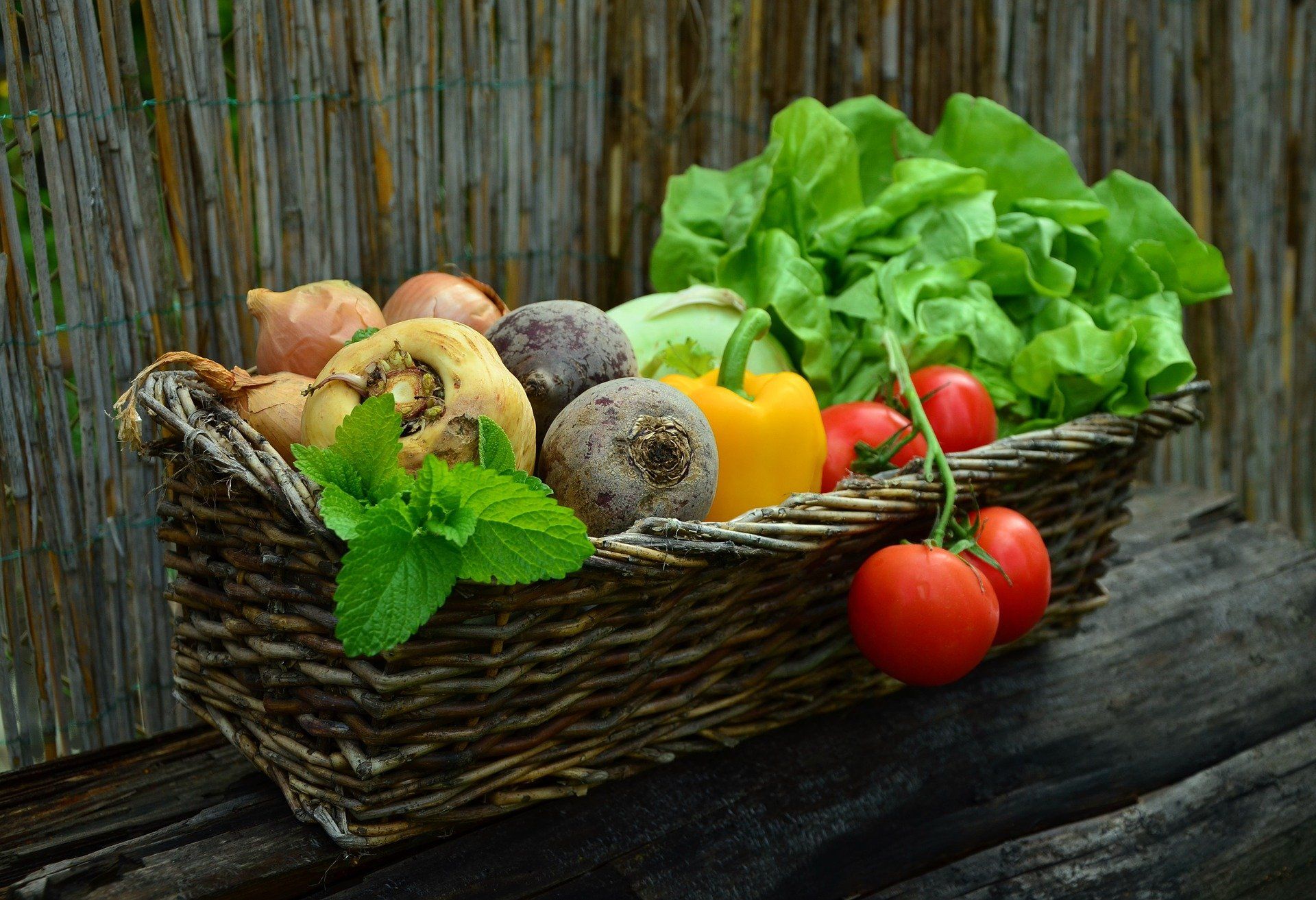 Naturalne produkty do warzyw, drzew owocowych i ozdobnych oraz trawników AGROSKŁAD Sp. z o.o.